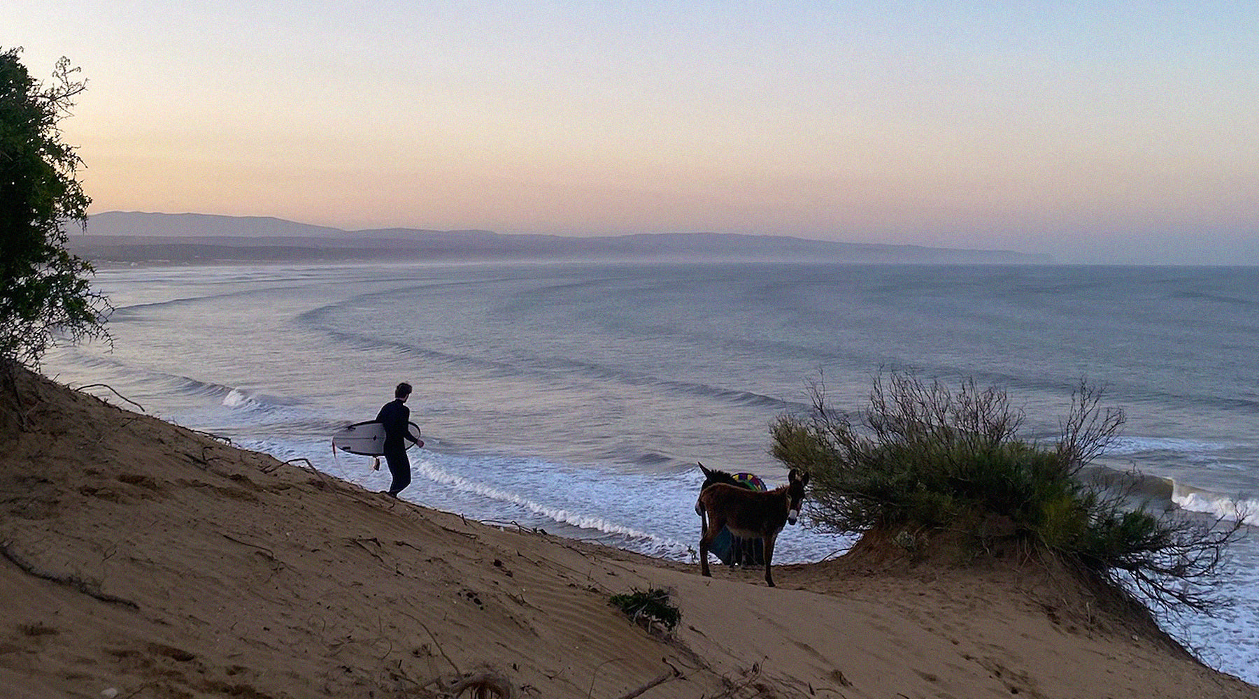 The story behind sisimono: From surfboard idea to lighting design